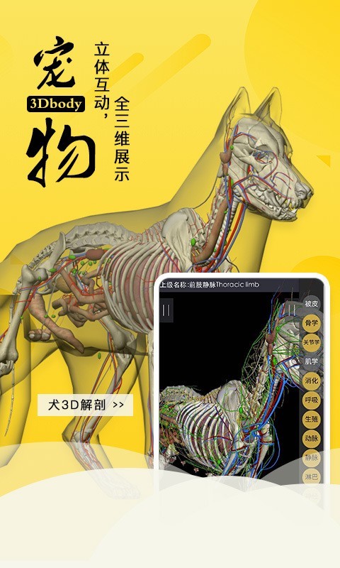 3Dbody宠物手机免费版截图