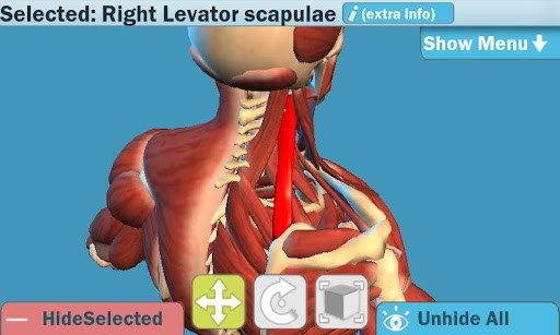 Easy Anatomy 3Dapp下载截图