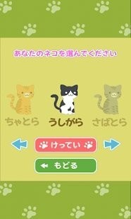 可爱猫的逆向对决客服指定网站截图