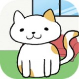 我的猫盆栽中文版最新版app