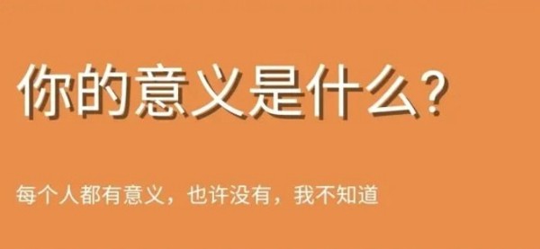 你的意义是什么鬼东西官方版游戏大厅截图