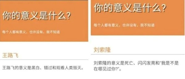 你的意义是什么鬼东西官方版游戏大厅截图