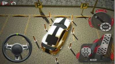 真实泊车3d手机免费版截图