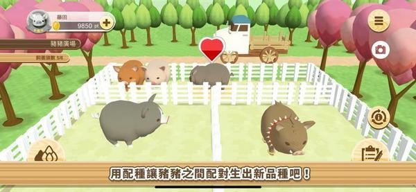 像素养猪场官方版app截图