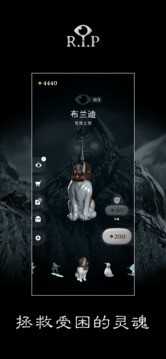 rip碎碎平安app最新下载地址截图